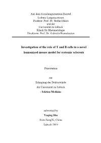Investigation of the Role of T and B Cells in a Novel Humanized Mouse Model for Systemic Sclerosis