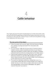 Cattle Behaviour