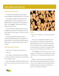Fossil Energy Study Guide: Oil
