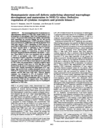 Hematopoietic Stem-Cell Defects Underlying Abnormal Macrophage Development and Maturation in NOD/Lt Mice