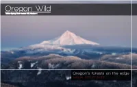 Oregon Wild 2012 Photo Contest Winners Into a Literal Campsite Complete with a Fire Pit