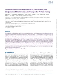 Conserved Features in the Structure, Mechanism, and Biogenesis of the Inverse Autotransporter Protein Family