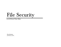 File Security Lock Down Your Data