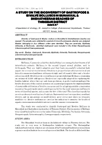 A Study on the Biodiversity of Gastropode & Bivalve Molluscs In