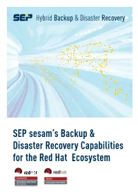 About SEP Sesam Hybrid Backup and Disaster Recovery