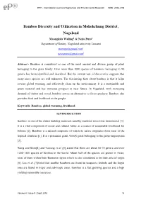 Bamboo Diversity and Utilization in Mokokchung District, Nagaland