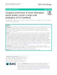 Based Probes Reveals a Large-Scale Phylogeny of 412 Bamboos