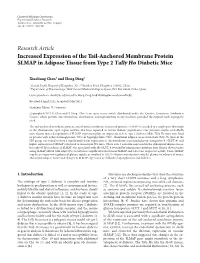 Increased Expression of the Tail-Anchored Membrane Protein SLMAP in Adipose Tissue from Type 2 Tally Ho Diabetic Mice