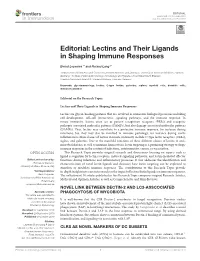 Lectins and Their Ligands in Shaping Immune Responses