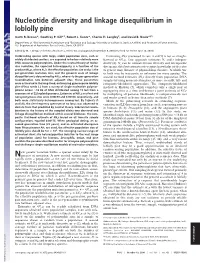 Nucleotide Diversity and Linkage Disequilibrium in Loblolly Pine