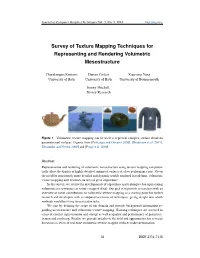 Survey of Texture Mapping Techniques for Representing and Rendering Volumetric Mesostructure