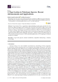C-Type Lectins in Veterinary Species: Recent Advancements and Applications