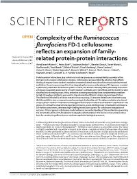 Complexity of the Ruminococcus Flavefaciens FD-1