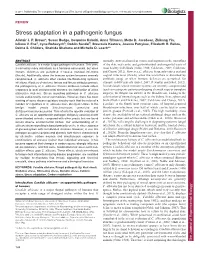 Stress Adaptation in a Pathogenic Fungus
