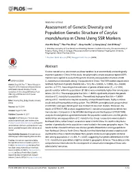 Assessment of Genetic Diversity and Population Genetic Structure of Corylus Mandshurica in China Using SSR Markers