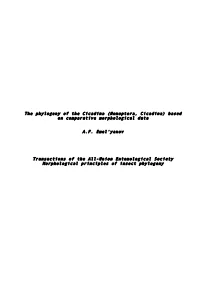 Based on Comparative Morphological Data AF Emel'yanov Transactions of T