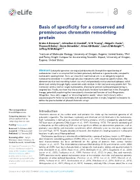 Basis of Specificity for a Conserved and Promiscuous Chromatin