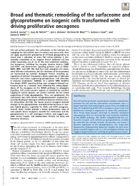Broad and Thematic Remodeling of the Surfaceome and Glycoproteome on Isogenic Cells Transformed with Driving Proliferative Oncogenes