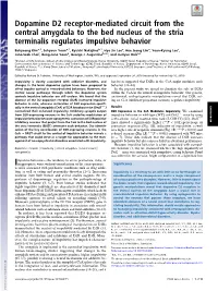 Dopamine D2 Receptor-Mediated Circuit from the Central Amygdala to the Bed Nucleus of the Stria Terminalis Regulates Impulsive Behavior