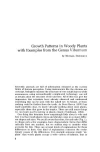 Growth Patterns in Woody Plants with Examples from the Genus Viburnum by MICHAEL DONOGHUE
