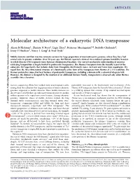 Molecular Architecture of a Eukaryotic DNA Transposase