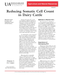 Reducing Somatic Cell Count in Dairy Cattle