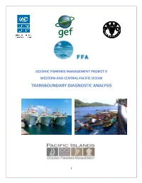 Transboundary Diagnostic Analysis