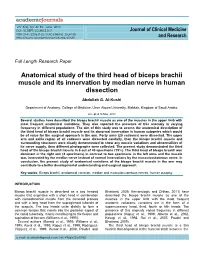 Anatomical Study of the Third Head of Biceps Brachii Muscle and Its Innervation by Median Nerve in Human Dissection