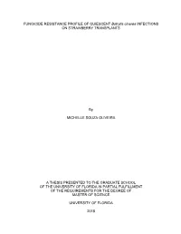 University of Florida Thesis Or Dissertation Formatting