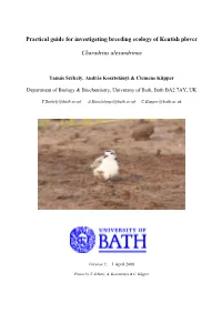 Practical Guide for Breeding Ecology of Kentish Plover