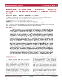 KLF4-SQSTM1/P62-Associated Prosurvival Autophagy Contributes to Carfilzomib Resistance in Multiple Myeloma Models