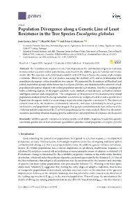 Population Divergence Along a Genetic Line of Least Resistance in the Tree Species Eucalyptus Globulus