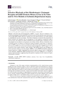 Selective Blockade of the Metabotropic Glutamate Receptor Mglur5 Protects Mouse Livers in in Vitro and Ex Vivo Models of Ischemia Reperfusion Injury