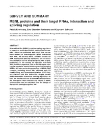 SURVEY and SUMMARY MBNL Proteins and Their Target Rnas