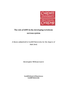 The Role of GDF5 in the Developing Vertebrate Nervous System