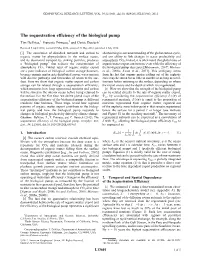 The Sequestration Efficiency of the Biological Pump