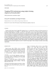 Trapping DNA Polymerases Using Triplex-Forming Oligodeoxyribonucleotides*