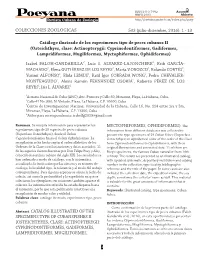 1 Peces 1 13 Low.Pdf