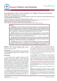 Dysregulation of Zinc and Iron Balance in Adipose Tissue From