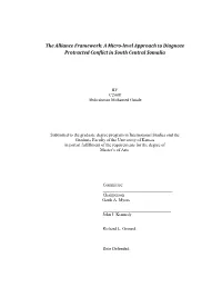 The Alliance Framework: a Micro-Level Approach to Diagnose Protracted Conflict in South Central Somalia