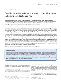 The Gliotransmitter D-Serine Promotes Synapse Maturation and Axonal Stabilization in Vivo