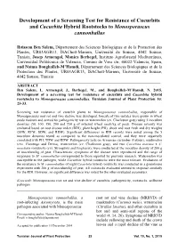 Development of a Screening Test for Resistance of Cucurbits and Cucurbita Hybrid Rootstocks to Monosporascus Cannonballus