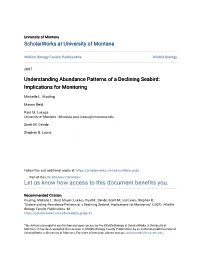 Understanding Abundance Patterns of a Declining Seabird: Implications for Monitoring