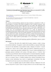 Variations in Leaf Morphological and Functional Traits of Quercus Castaneifolia C.A.Mey