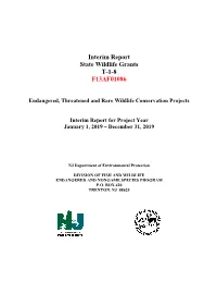 2019 Endangered, Threatened and Rare Wildlife Conservation Projects Interim Report