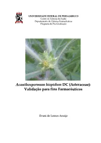 Acanthospermum Hispidum E A