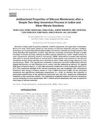 Antibacterial Properties of Silicone Membranes After a Simple Two-Step Immersion Process in Iodine and Silver Nitrate Solutions