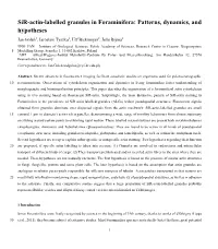 Sir-Actin-Labelled Granules in Foraminifera