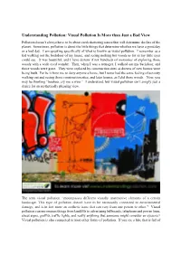 Understanding Pollution: Visual Pollution Is More Than Just a Bad