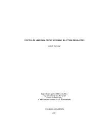 CONTROL of NEURONAL CIRCUIT ASSEMBLY by GTPASE REGULATORS Julia E. Sommer Submitted in Partial Fulfillment of the Requirements